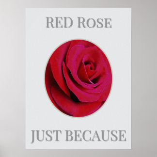 DER ROTE Rosenposter Poster