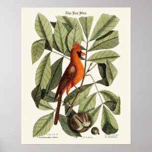 Der Rote Vogel - Seligmann Poster