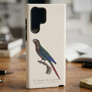 Der Rotsteißsittich, Pyrrhura Picta Samsung Galaxy Hülle