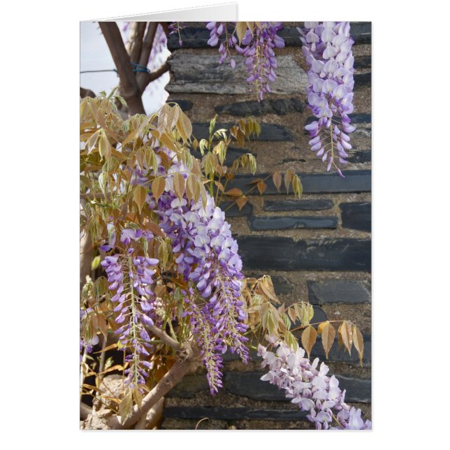 Der Rückzug (Vorne)