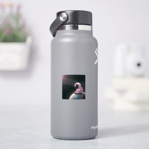 Der ruhige Explorer Aufkleber