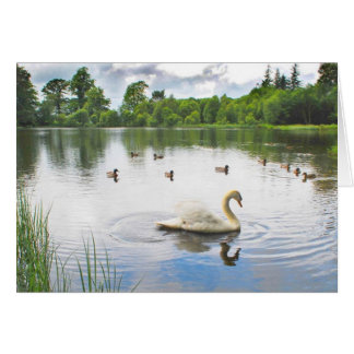 Der ruhige See
