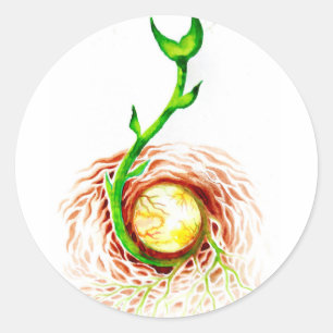 Der Samen von Lebensplakat Leinwand Postkartenmagn Runder Aufkleber