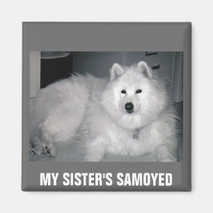 DER SAMOYED MEINER SCHWESTER MAGNET
