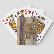 Der Scapegoat (von William Holman Hunt)