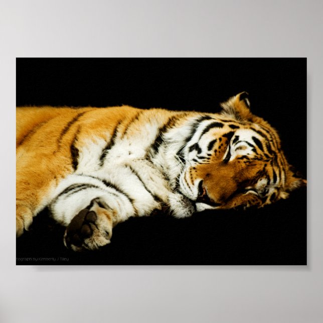Der schlafende Amur Print Poster (Vorne)
