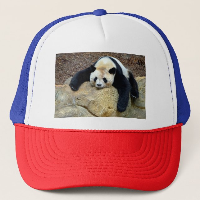 Der schlafende Riesenpanda fiel auf einen Felsen Truckerkappe (Vorderseite)
