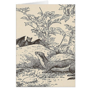 Der Schläger und das Nerz