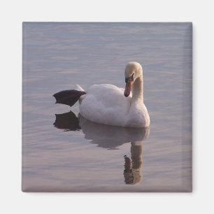 Der Schlüssel zum Schlüssel Magnet