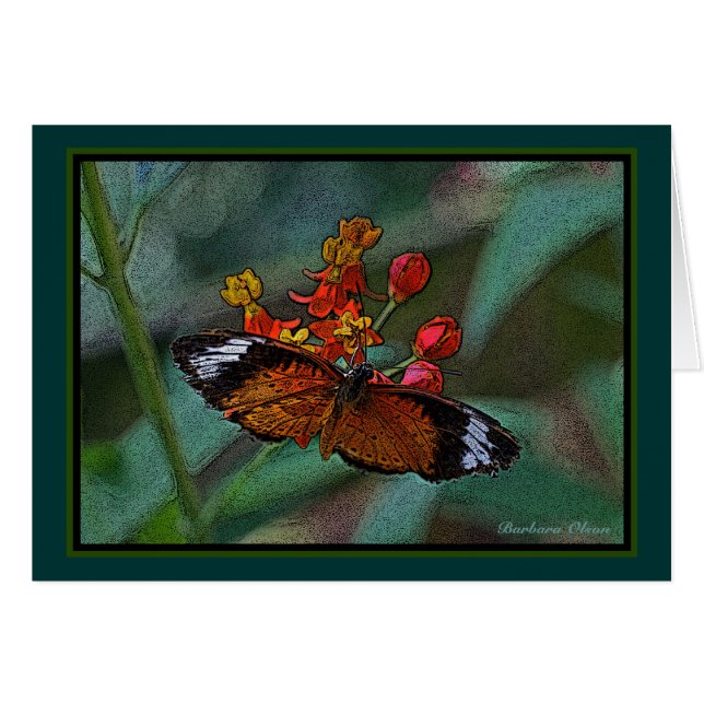 Der Schmetterling Leopardlacewing-(Cethosia cyane) (Vorderseite (Horizontal))