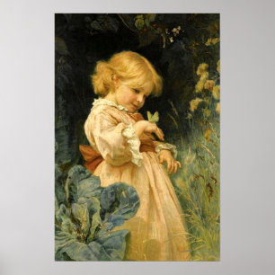 Der Schmetterling Poster