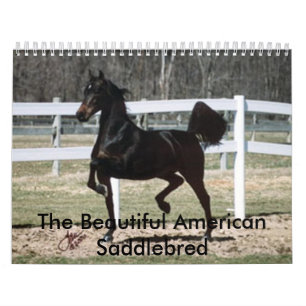 Der schöne Amerikaner Saddlebred Kalender