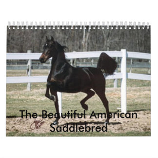 Der schöne Amerikaner Saddlebred Kalender