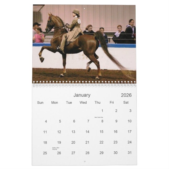 Der schöne Amerikaner Saddlebred Kalender (Jan 2026)