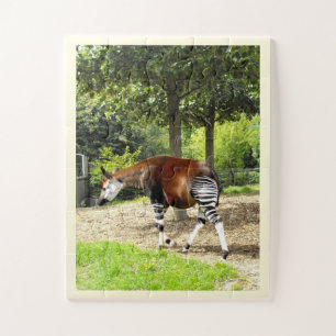 Der schöne Okapi Puzzle