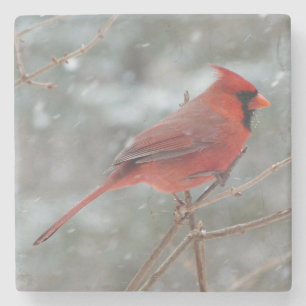 Der schöne Rote Kardinal Wartete aus dem Schnee Steinuntersetzer