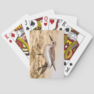 Der schöne Sandpiper-Vogel im Sand Spielkarten