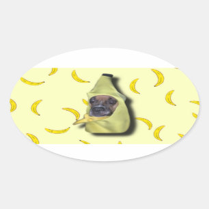 Der schöne Sticker für den Bean Dog
