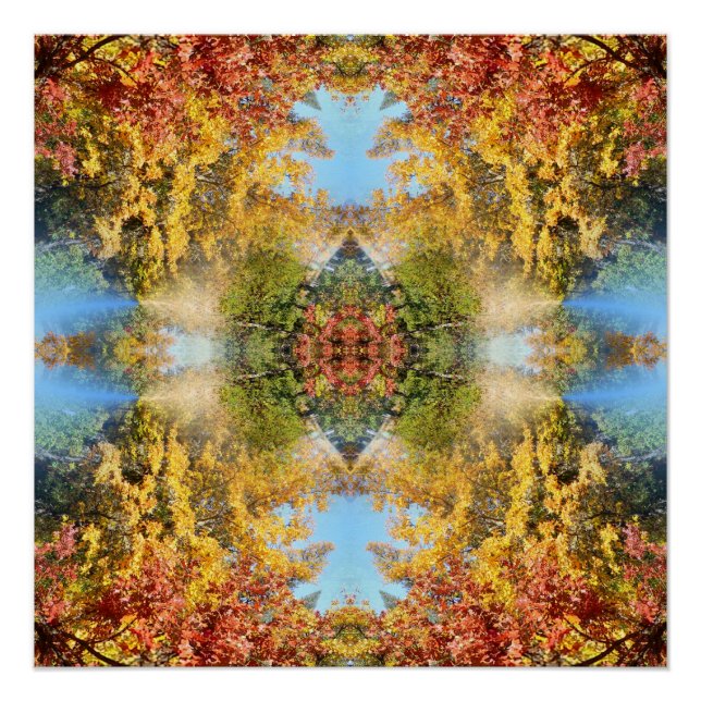 Der schöne Wald im Herbst... Poster (Vorderseite)