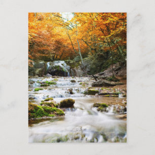 Der schöne Wasserfall im Wald, Herbst Postkarte
