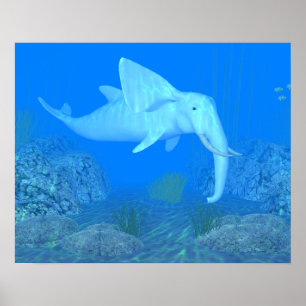 Der schöne Whalphon Poster