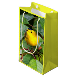 Der schöne Wilson's Warbler im Kirschbaum Kleine Geschenktüte