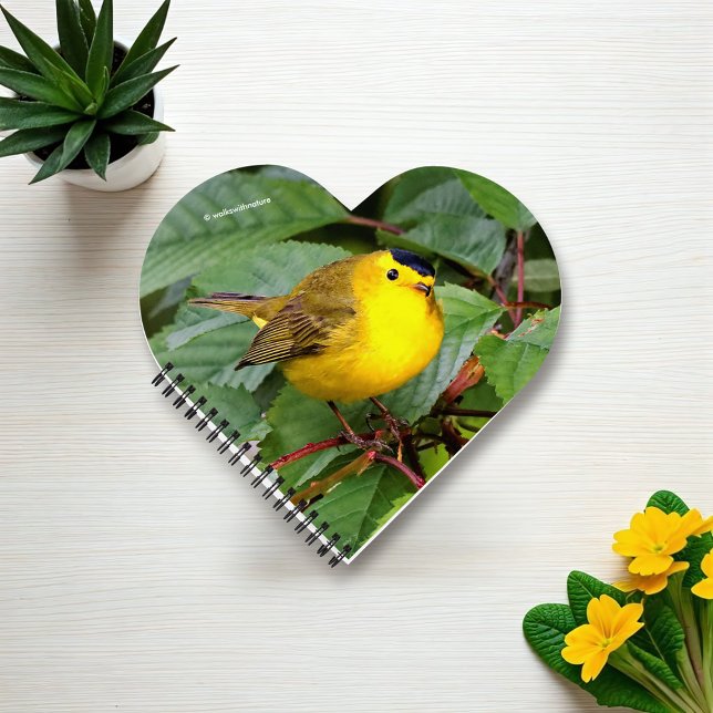 Der schöne Wilson's Warbler im Kirschbaum Notizbuch (Beautiful Wilson's Warbler on the Branch Journal Cover Photo)