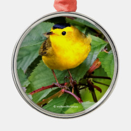 Der schöne Wilson's Warbler im Kirschbaum Ornament Aus Metall
