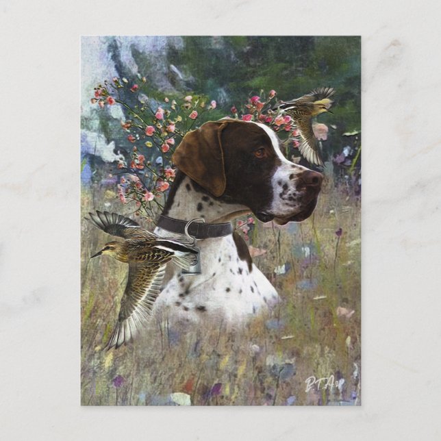 Der schöne Zeiger im Feld Postkarte (Vorderseite)