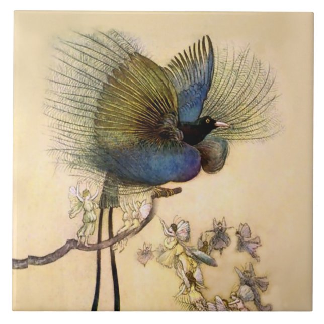 „Der schönste Vogel“ von Warwick Goble Fliese (Vorderseite)