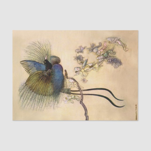 "Der schönste Vogel" von Warwick Goble Seidenpapier (Vorderseite)