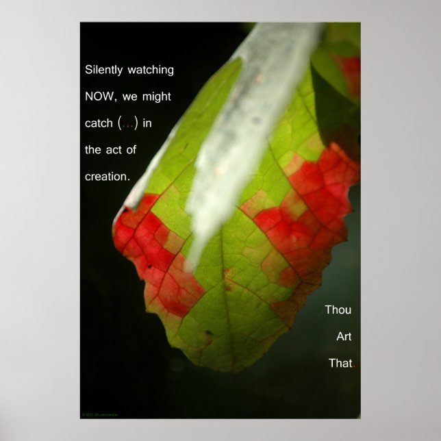 Der Schöpfungsakt Poster (Vorne)