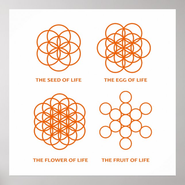 Der Schöpfungsprozess Poster (Vorne)