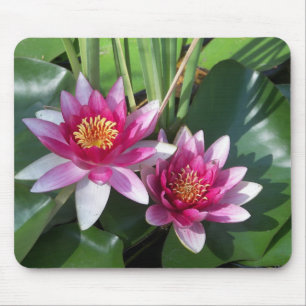 "Der Schrein von St Joseph der Berg" Blume Mousepad