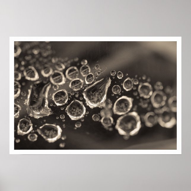 der Schuh fällt Poster (Vorne)