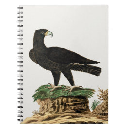 Der Schwarze Adler von Verredx | Wildvogelabbildun Notizblock