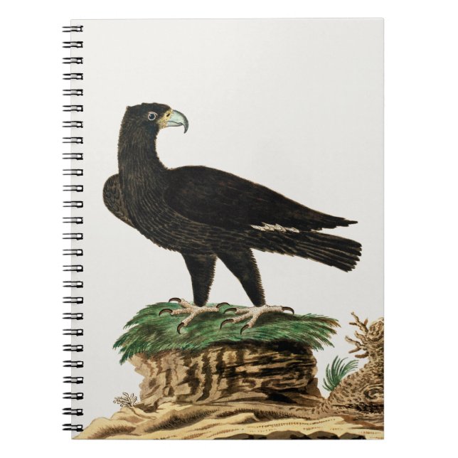 Der Schwarze Adler von Verredx | Wildvogelabbildun Notizblock (Vorderseite)