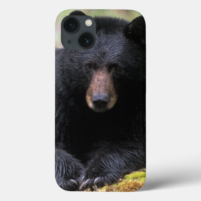 Der schwarze Bär auf einer alten Wachstumsprognose Case-Mate iPhone Hülle (Rückseite)