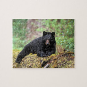 Der schwarze Bär auf einer alten Wachstumsprognose Puzzle