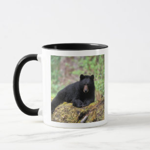 Der schwarze Bär auf einer alten Wachstumsprognose Tasse