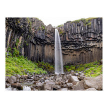 Der schwarze Basalt Svartifoss Wasserfall Island