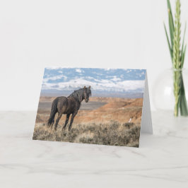 "Der schwarze Hengst"-Karte Karte