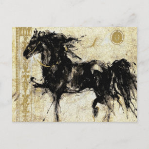 Der schwarze Hengst ~ Postkarte