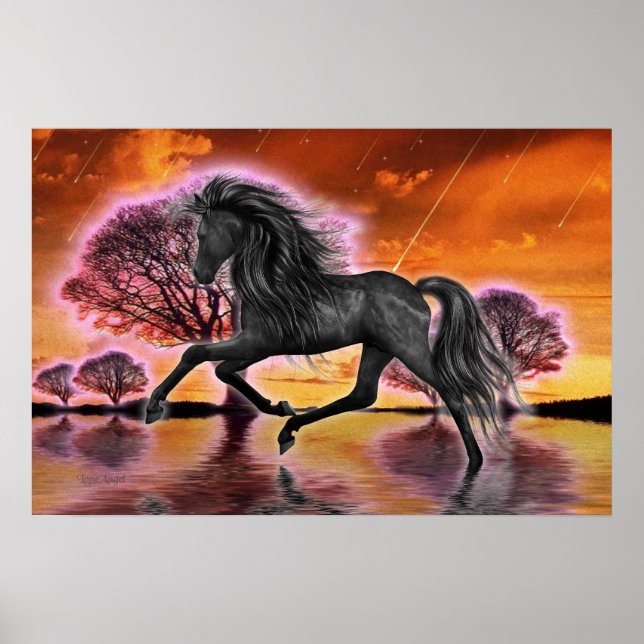 Der schwarze Stallion .. Fantasiebild.. Poster (Vorne)