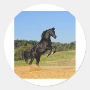 Der schwarze Stallion Runder Aufkleber