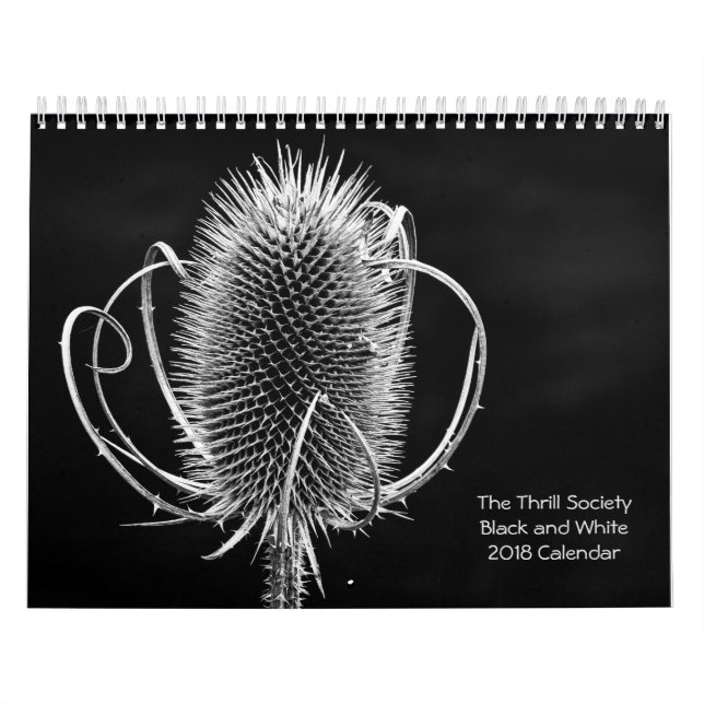 Der Schwarzweiss-Kalender der Kalender (Titelbild)