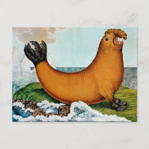 Der See-Elefant oder der Walrus (1879) Postkarte