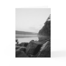 Der See und der Nebel