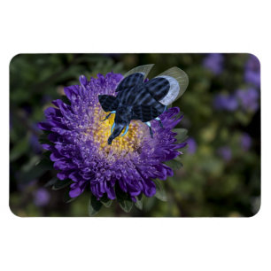 Der seltene blaue Bugphant Magnet