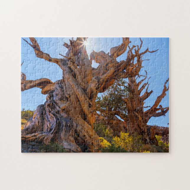 Der Sentinelbaum Puzzle (Horizontal)